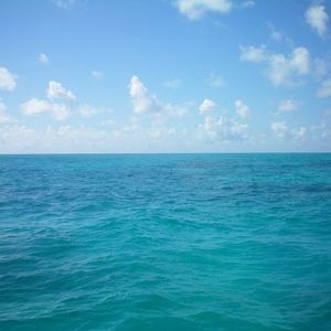 Meet your Posher, Bryan